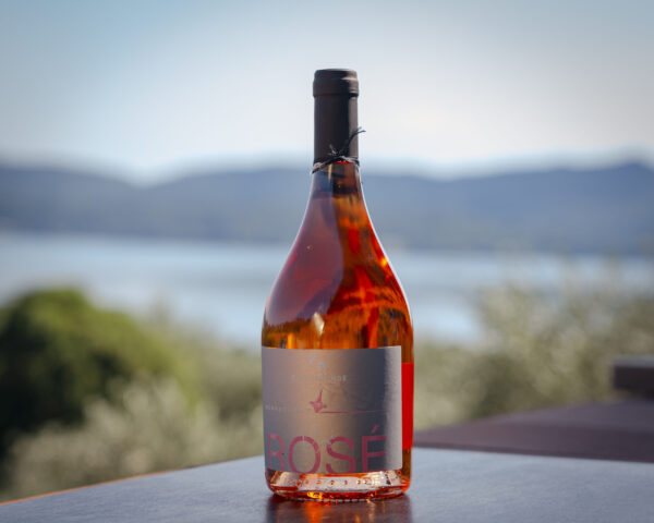 ROSÉ - ROSÉ WINE