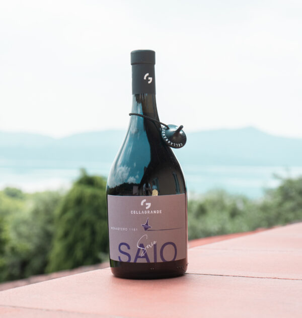 SAIO - Canavese DOC Nebbiolo 2021